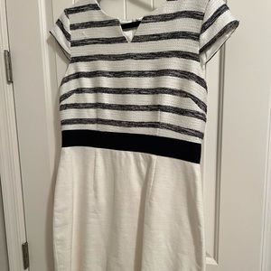 Antonio Melani business dress SZ 12